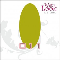 Gel Color Wet Look 5g #011